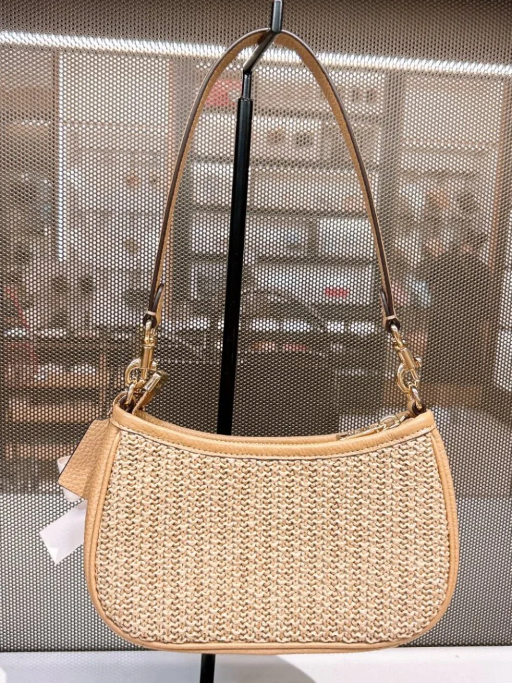 NWT Coach Teri Mini Crossbody Bag CDW66 Toast (Free charm)